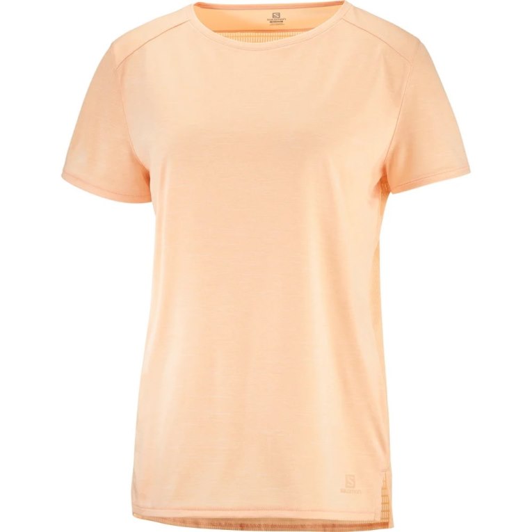 Camiseta Salomon Outline Summer Corta Sleeve Mujer Albaricoque | MX TVDB651